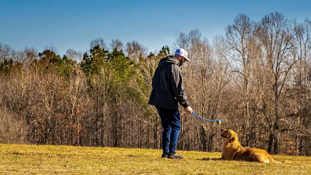 How to train your dog | Dog Advisor HQ | DogAdvisorHQ.com | Ball Launcher