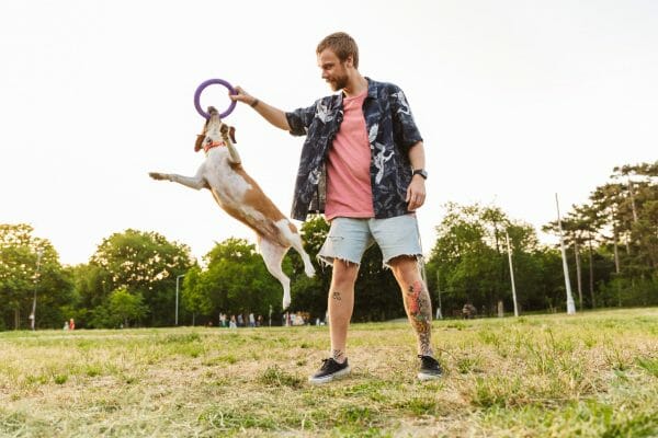 How Much Exercise Does a Puppy Need | Dog Advisor HQ
